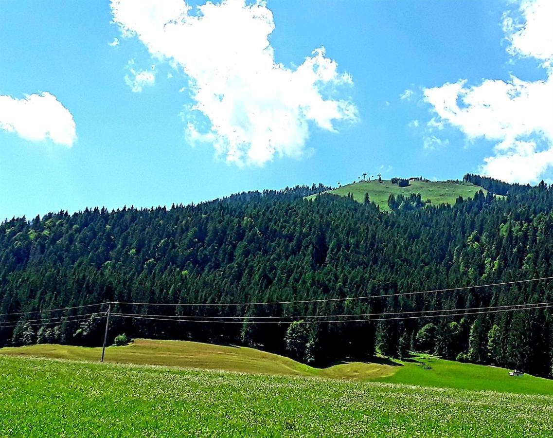 Ferienwohnung Ager-Bucher Элльмау Экстерьер фото